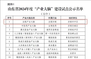 山東出版傳媒股份有限公司